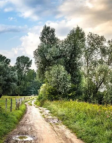 Hotel Zum Bergischen Hof 2*