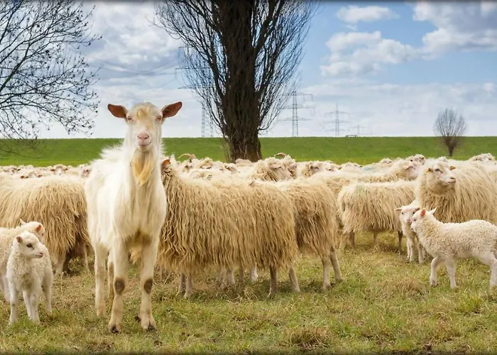 Zum Bergischen Hof 2* Dormagen